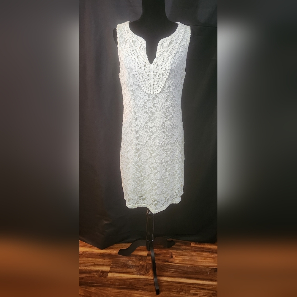 Maria Gabrielle Sleeveless Lace Sheath Dress Size L